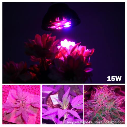 Full Spectrum E27 15w Led Grow light Red+Blue Indoor grow box Hydroponic Systems lamps for plants led aquarium grow tent